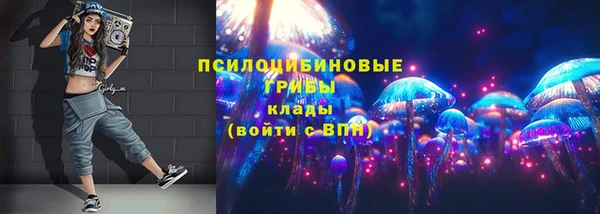 амф Алексеевка