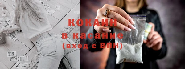 индика Алексин