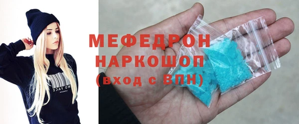 индика Алексин