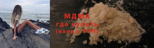 индика Алексин