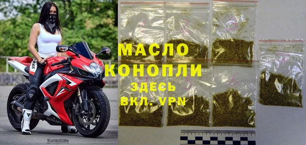 индика Абинск