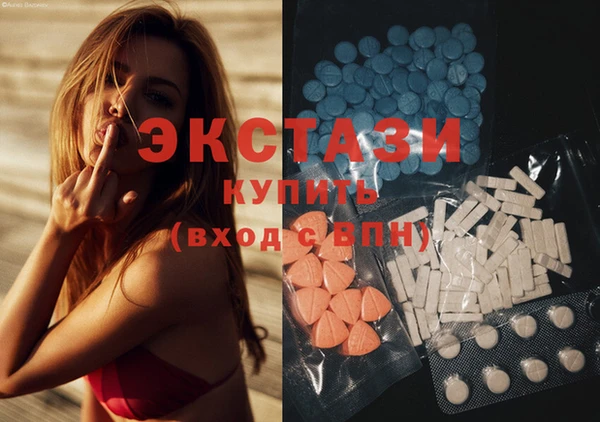 индика Алексин