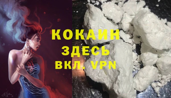 индика Алексин
