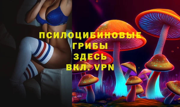 индика Алексин