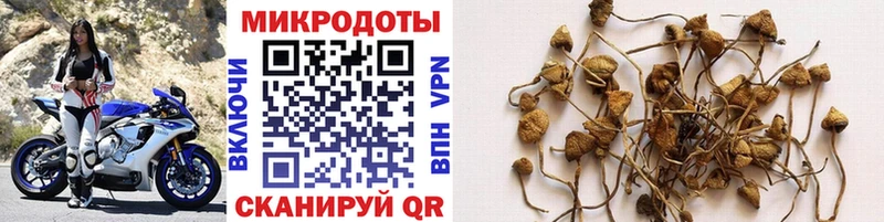 купить цена Заводоуковск Псилоцибиновые грибы прущие грибы
